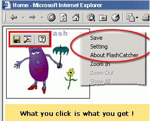 Flash Catcher